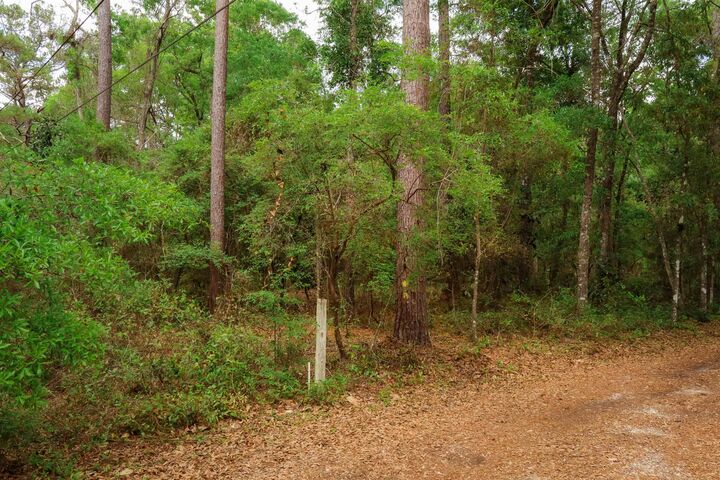 Property Photo:  0 Bird Song Trail  FL 32309 