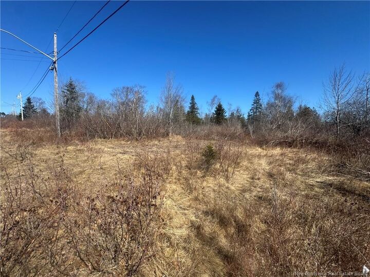 90 Foster Hill Road — photo 1