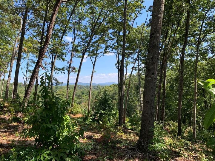 Property Photo:  0 White Oak Cir  GA 30513 