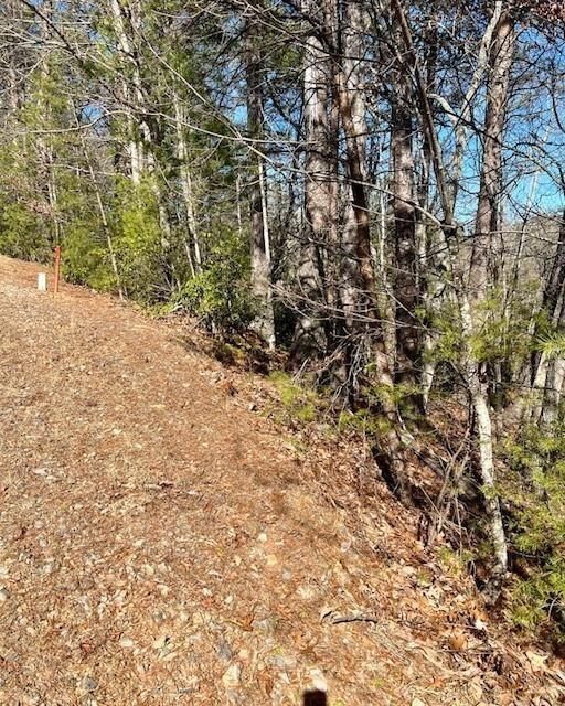 Property Photo: 0 Rosen Strasse GA 30545