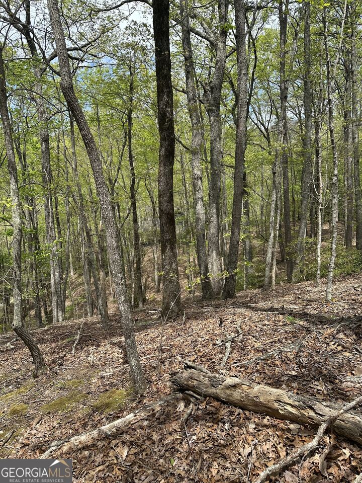 Property Photo: Lt B87 Laurel Lane GA 30536