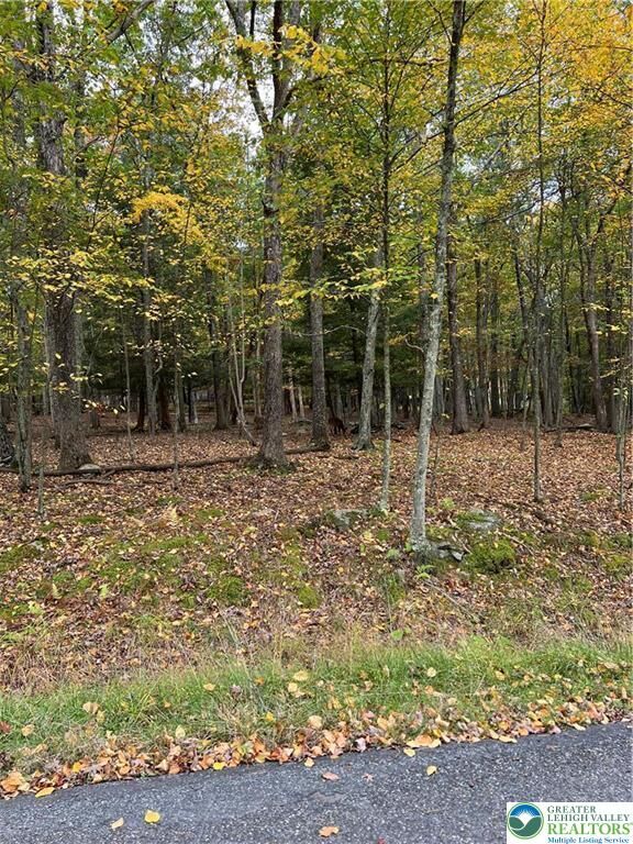 Property Photo:  289 Forest Drive  PA 18325 