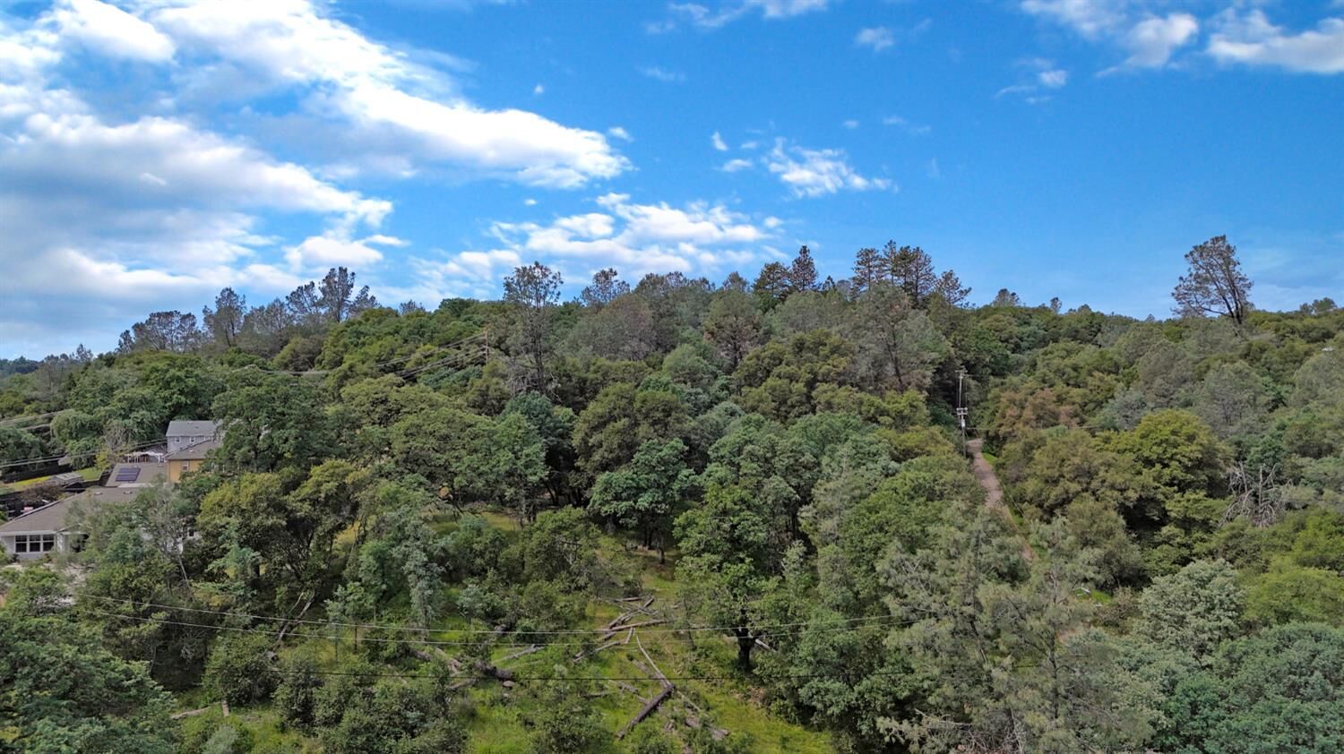 Property Photo:  10599 Linton Lane  CA 95949 