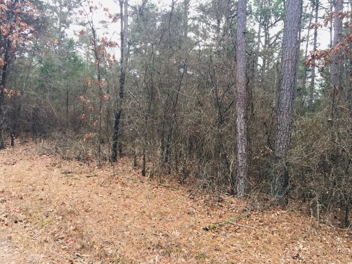 Property Photo: 95 Eagles Nest, Cr 1788 AR 72847