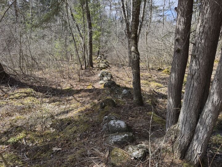 Property Photo:  151 Ashfield Road  MA 01096 