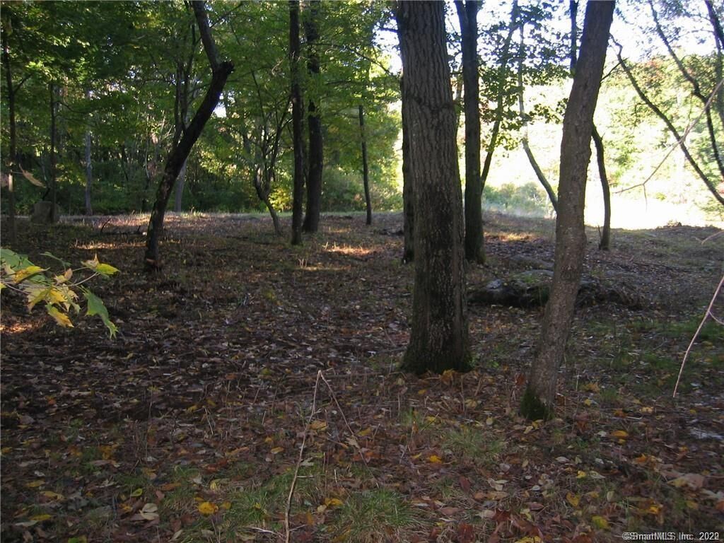 Property Photo: 67 Briarwood Lane CT 06904