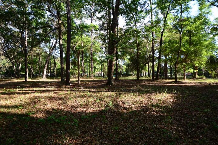 Property Photo: Parcel 6 Peeples Road FL 32097