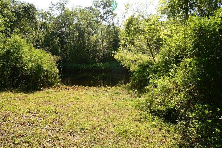 Property Photo:  Parcel 2 Peeples Road  FL 32097 