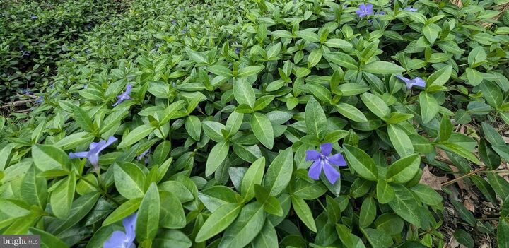 Property Photo: 7190 Mink Hollow Road MD 20777