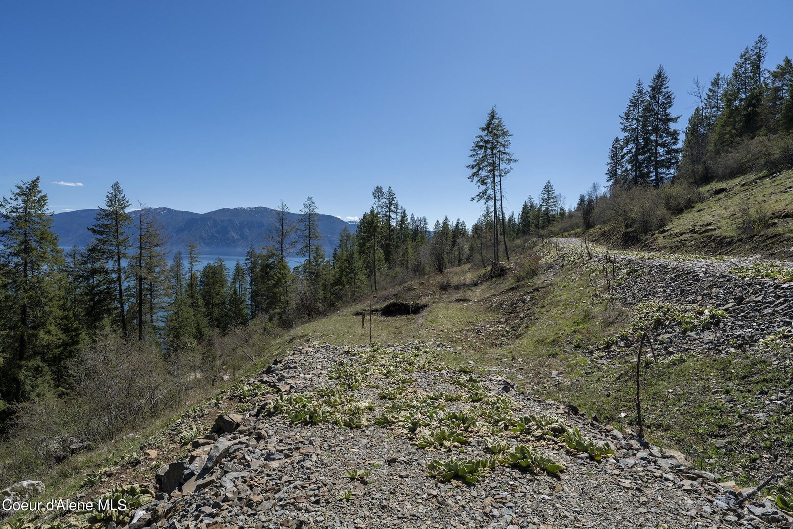 Property Photo: 531 Midas Dr ID 83860