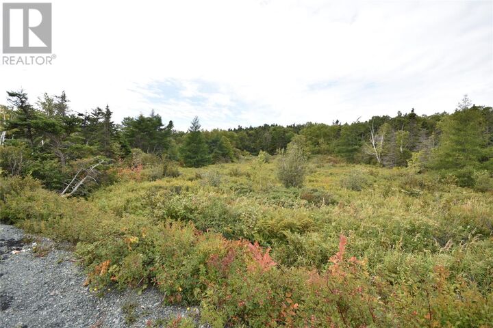 Property Photo:  308-310 Anchorage Road  NL A1W 4W3 