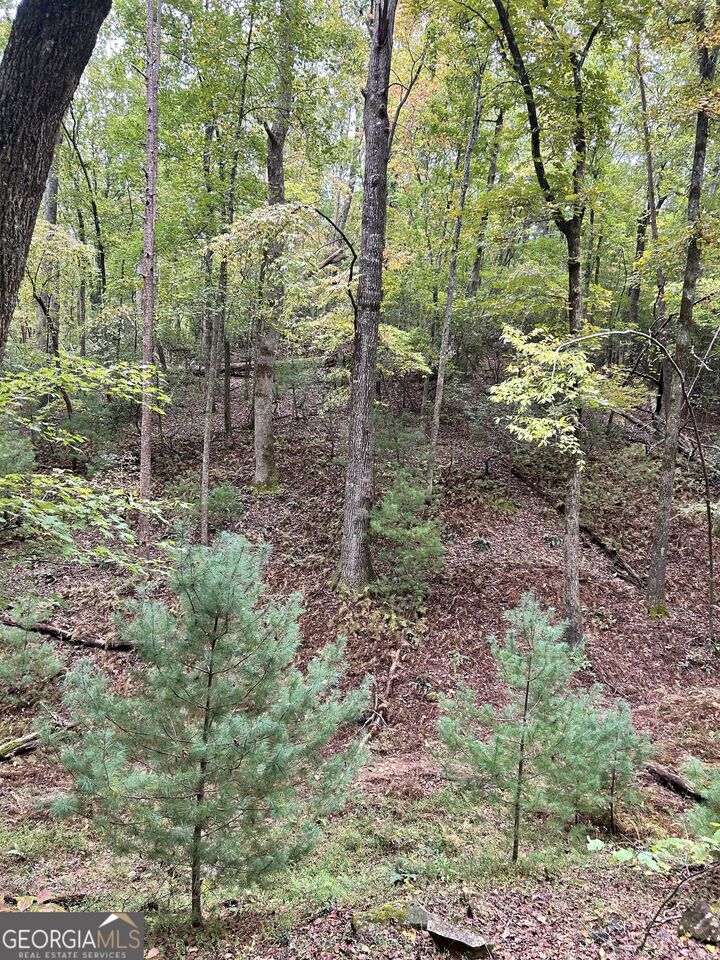 Property Photo:  0 Lower Gap Road W16  GA 30571 