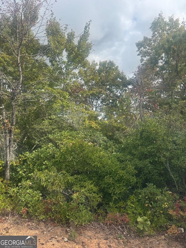 Property Photo:  Lot 16 Brown Hawk Drive  GA 30525 