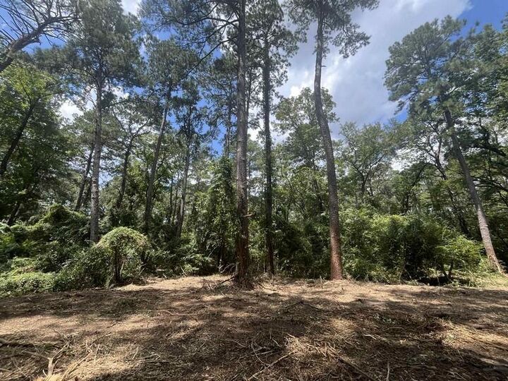 Property Photo: 0 Spring Creek Drive LA 71360