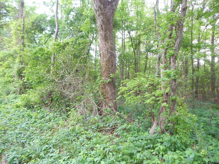 Property Photo: Tbd 3.07 Acre Woodchuck Rd TX 75686