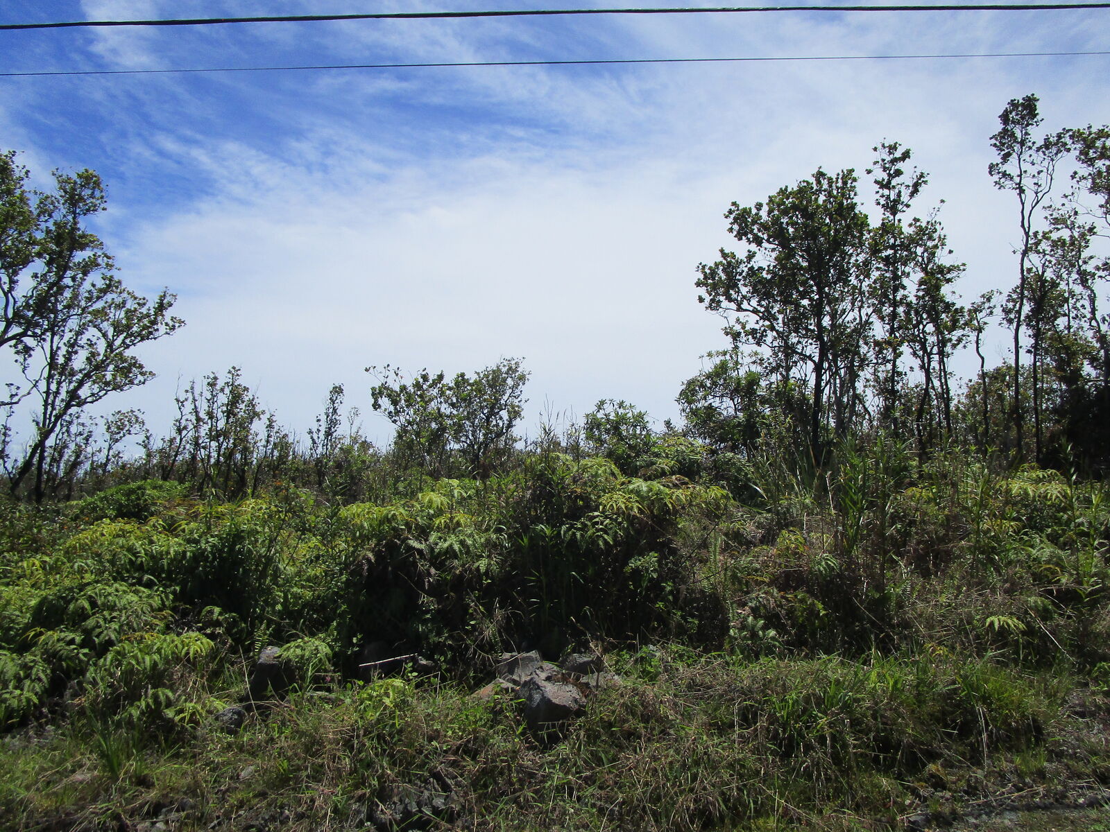 Property Photo:  Ohialani Rd  HI 96785 