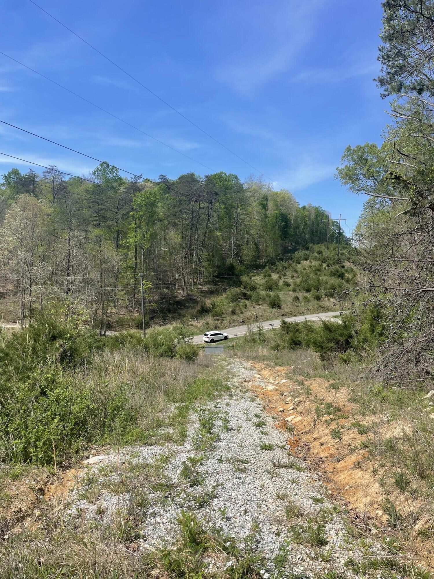 Property Photo:  4288 Elihu Cabin Hollow Road  KY 42501 