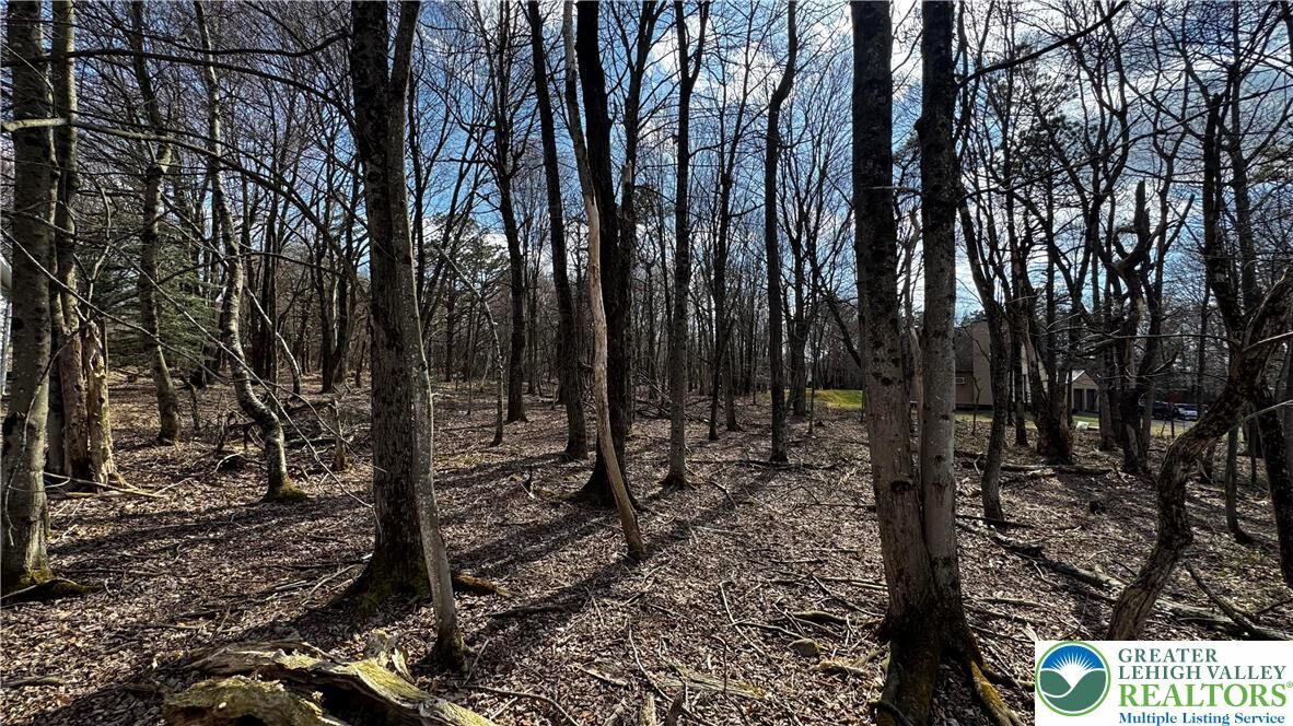 Property Photo:  1010 Stony Mountain Road  PA 18210 