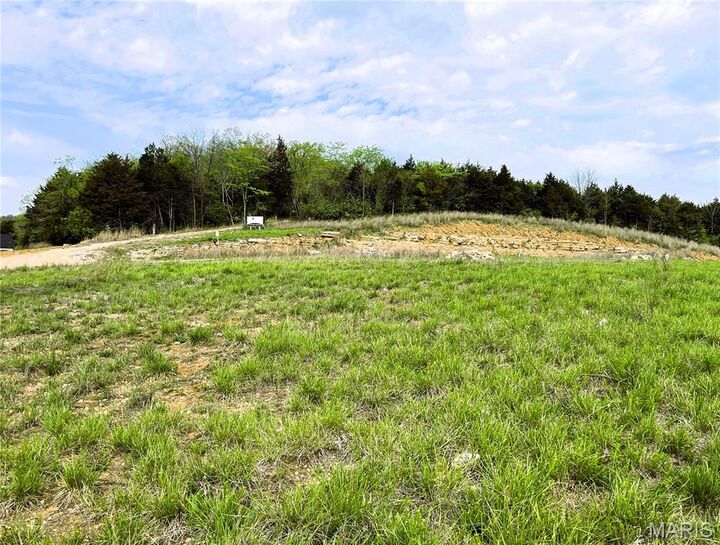 Property Photo:  3513 Butler Valley Drive  MO 63052 