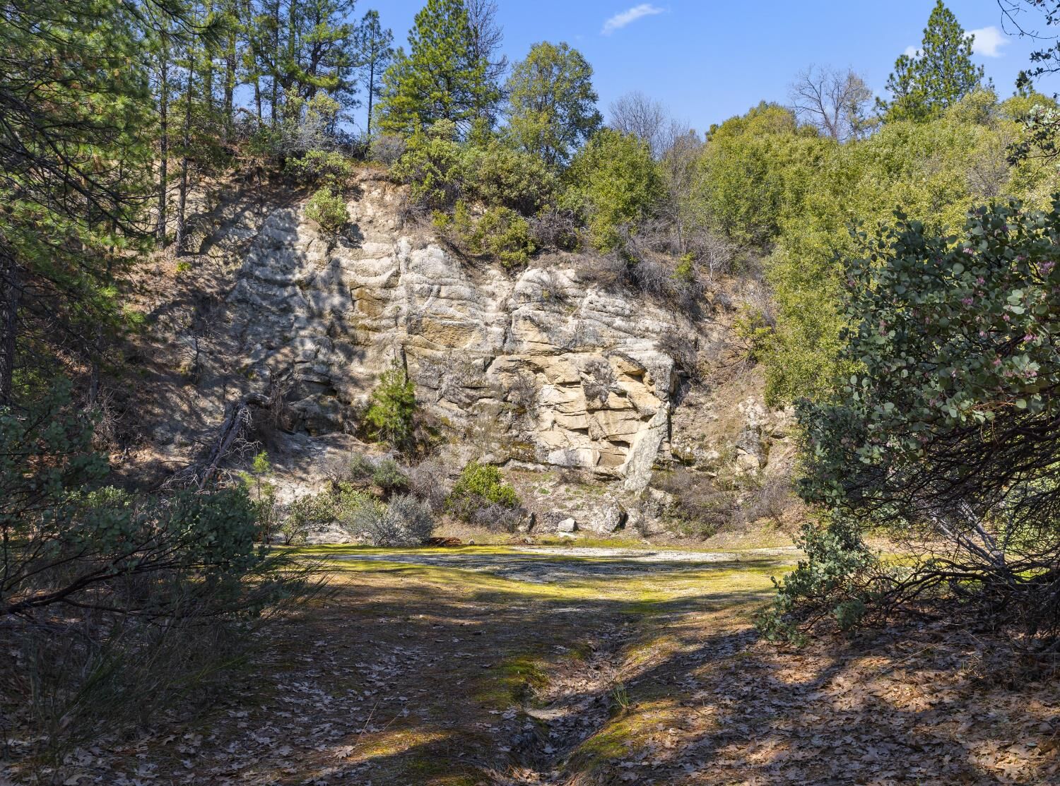 Property Photo: 15528 Ca-49 CA 95922