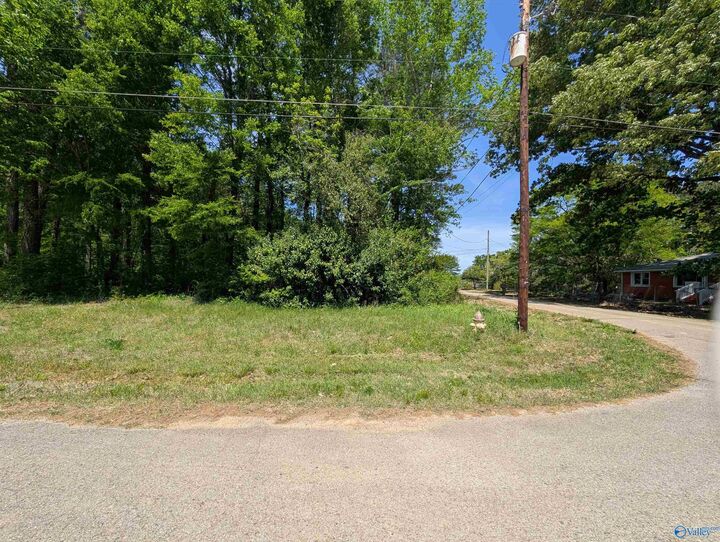 Property Photo:  21 West McKinney Street  AL 35904 