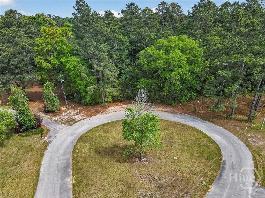 Property Photo:  0 Freeman Drive  GA 31308 