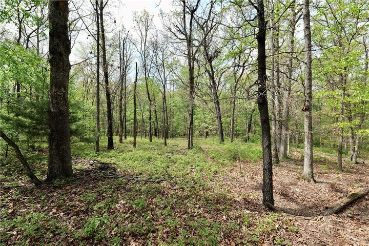 Property Photo: Tbd Hummingbird Road AR 72736