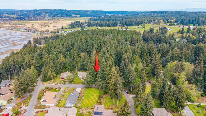 Property Photo:  0 Lot 19  Sahalee Court  WA 98236 