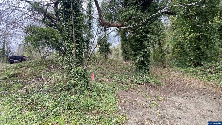 Property Photo: 0 2nd St NW OR 97304