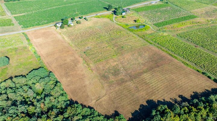 Property Photo:  Lot C County Route 76  NY 14840 