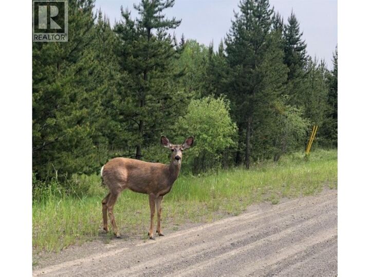 5916 Little Fort 24 Highway Lot 1 — photo 1