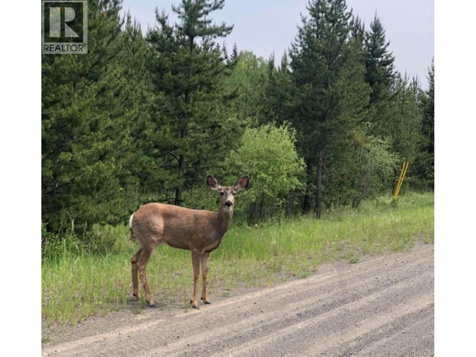 Property Photo:  5916 Little Fort 24 Highway Lot 1  BC V0K 1X1 