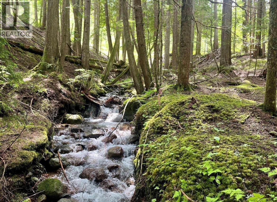 Property Photo:  Lot 2 Red Mountain Road  BC V0G 1S0 
