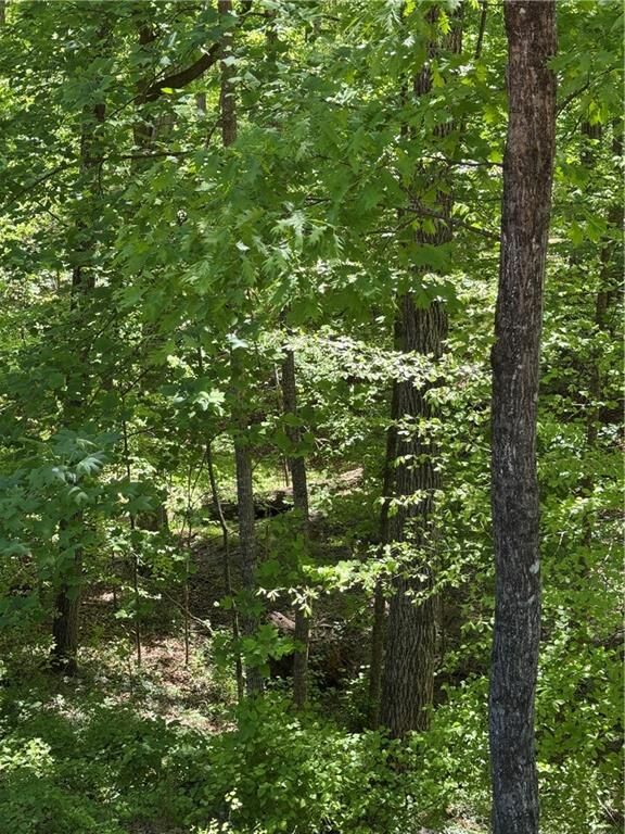 Property Photo:  0 Clark Drive  GA 30004 