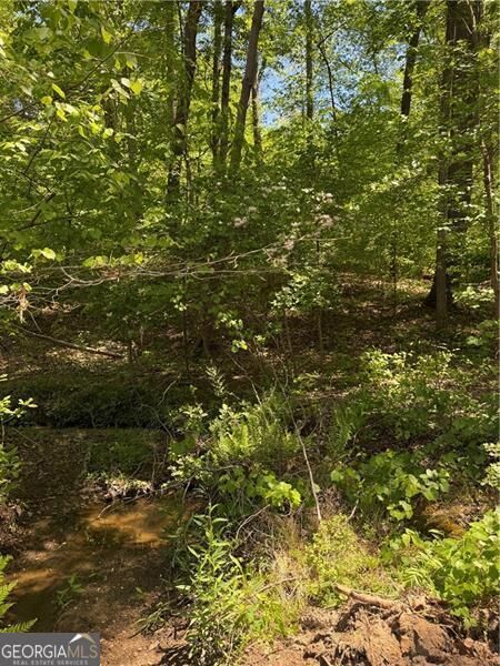 Property Photo:  0 Clark Drive  GA 30004 