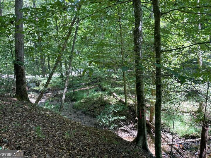 Property Photo:  Lot 223 Bowline Drive 223  GA 30540 