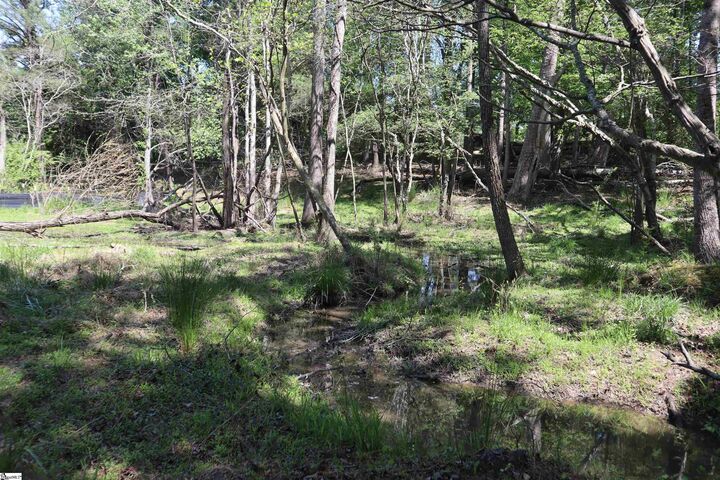 Property Photo:  0 Old Canaan Tract 5 Road  SC 29306 