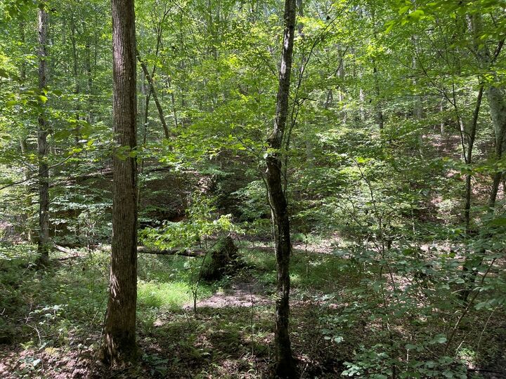 Property Photo:  Lot 223 Bowline Drive  GA 30540 