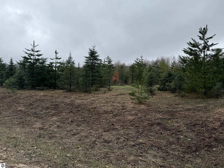 Property Photo:  N Vandermeulen Road  MI 49651 