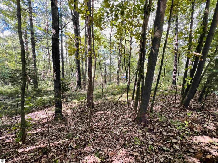 Property Photo: 00 North Boulevard MI 49601