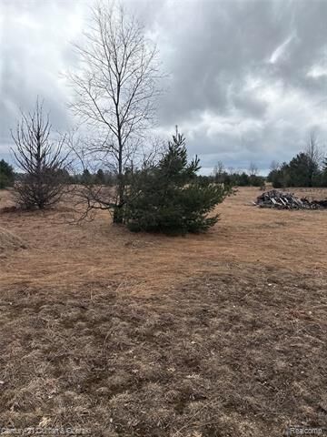 Property Photo:  00000 Vroom Rd SW  MI 49680 