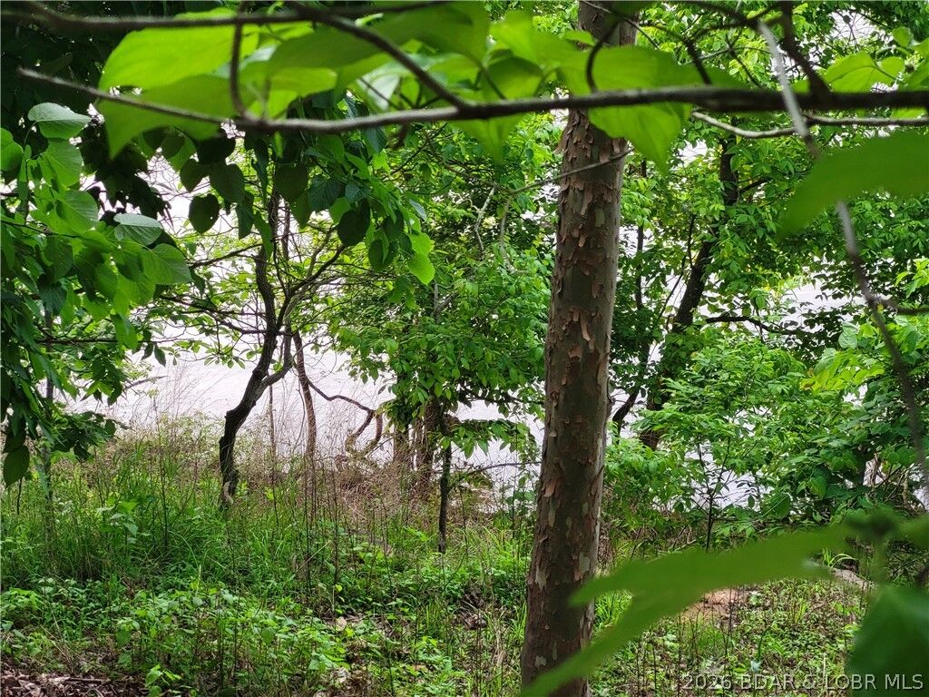 Property Photo:  Emerald Hills Drive Phase 5 Lot 2  MO 65326 