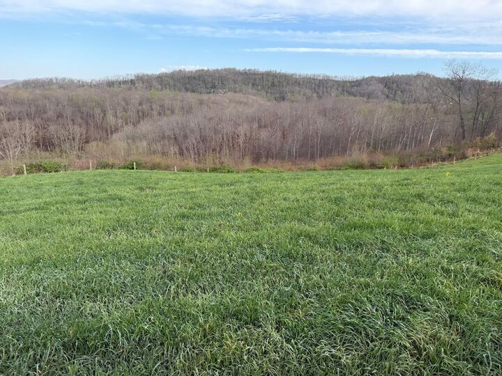 Property Photo:  1999 Snake Run Rd  WV 24910 