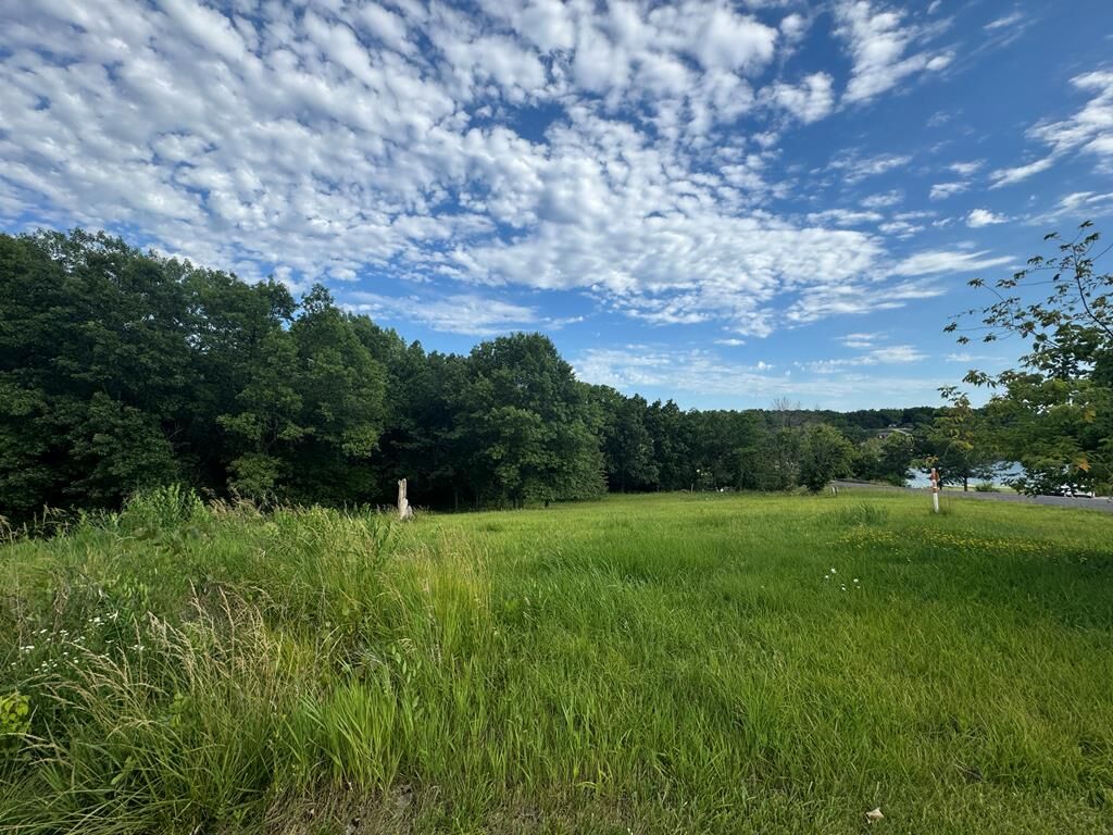 Property Photo:  10127 S Wildflower Drive  MO 63565 