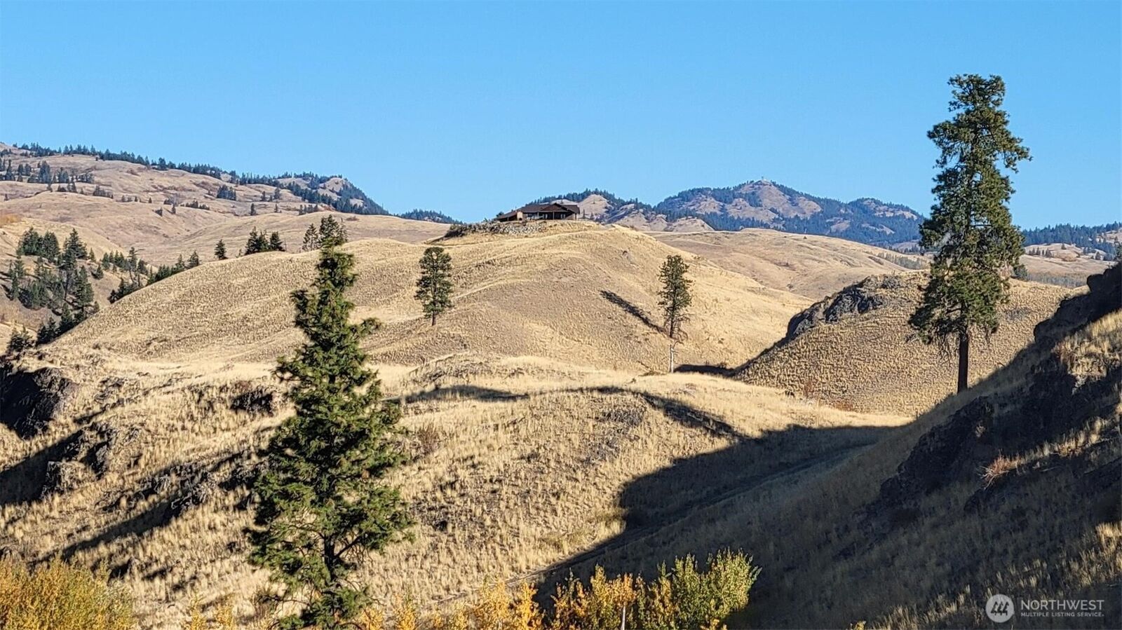 Property Photo:  0  Harrier Lane  WA 98855 