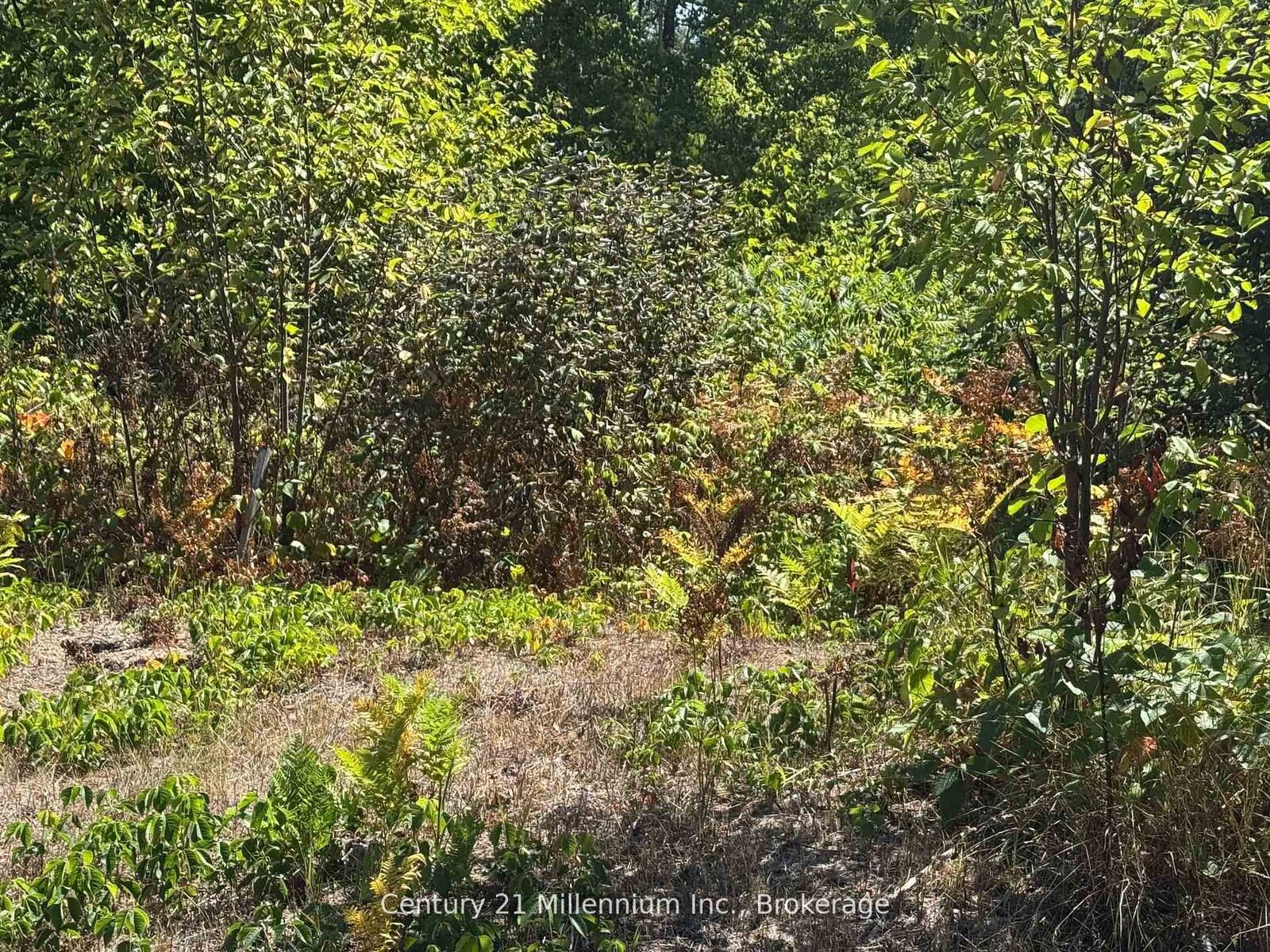 Property Photo:  931 River Road E  ON L9Z 2P4 