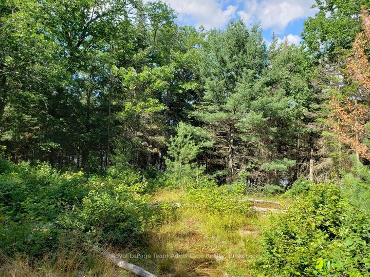 Property Photo: 0 Unopened Road Allowance Road ON P2A 2W7