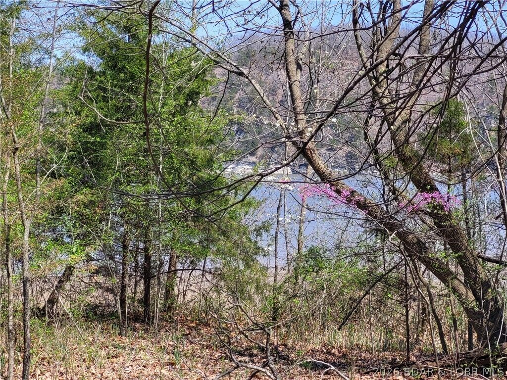 Property Photo:  Emerald Hills Drive Phase 4 Lot 2  MO 65326 