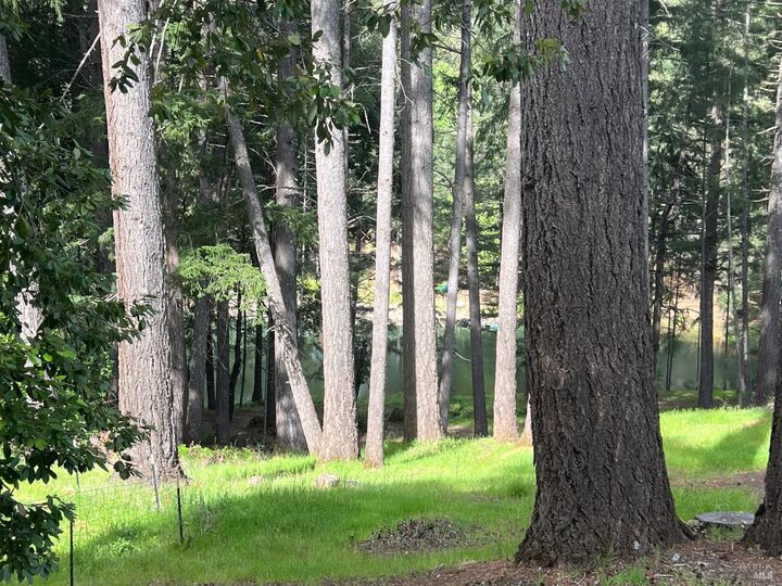 Property Photo:  4000 Ridgewood Road  CA 95490 