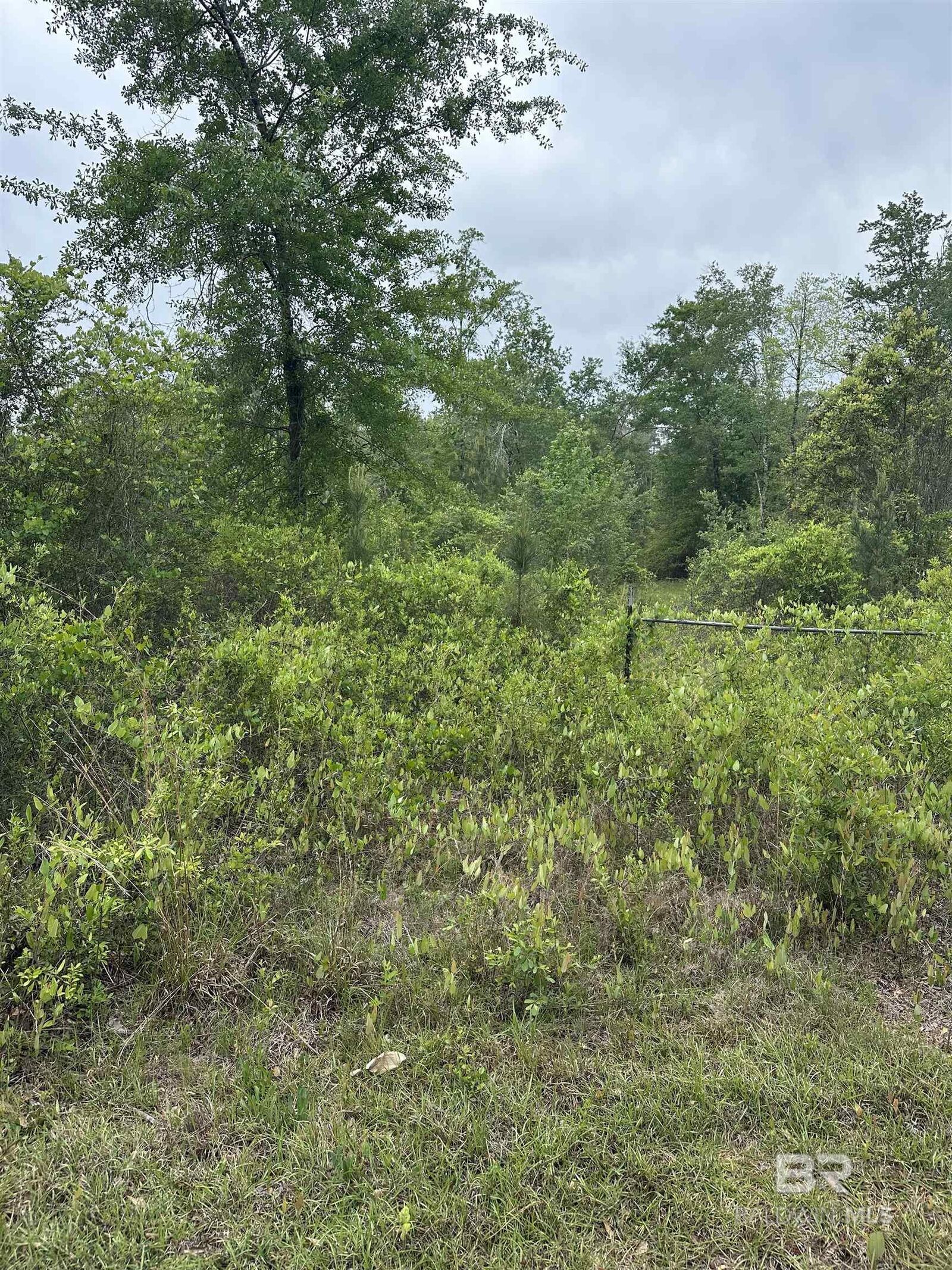 Property Photo:  0000 Propst Road  AL 36507-0000 